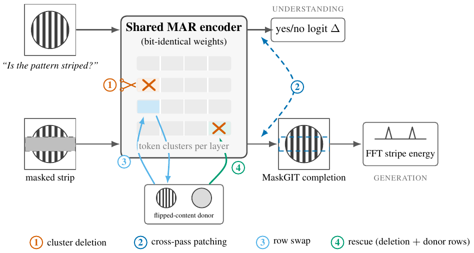 Teaser: one shared visual encoder feeds both an understanding pass and a generation pass; interventions on the shared scene code are read out through both.